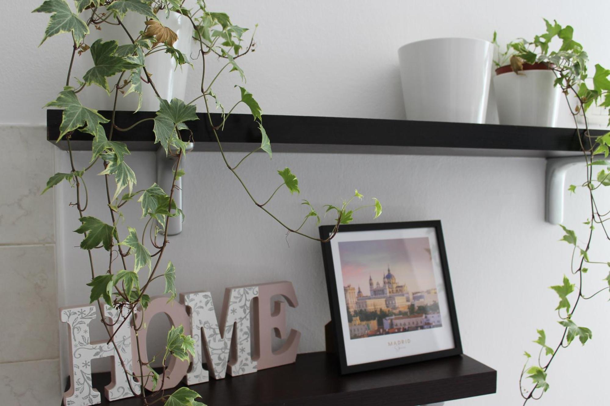 Apartamento Residenza Piazza Erbe Verona